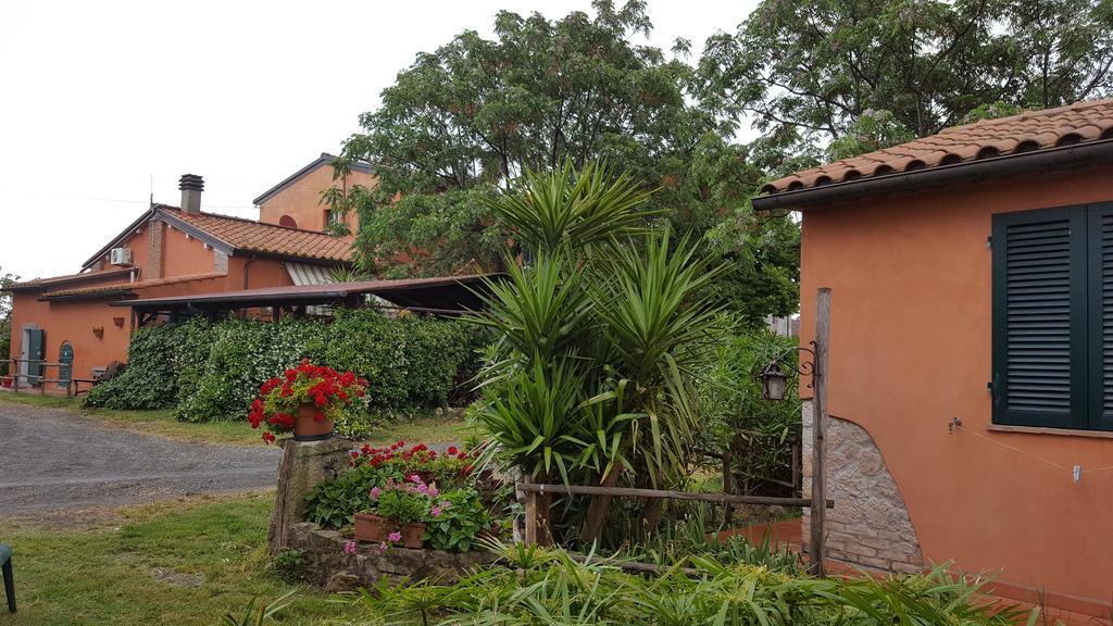 Il Giogo Agriturismo Rosignano Marittimo Exterior foto